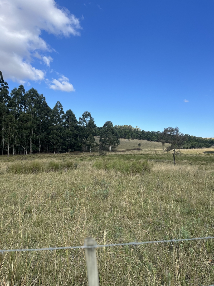 14 Bedroom Property for Sale in Stutterheim Eastern Cape